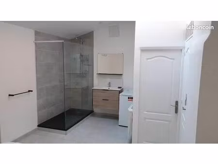 grand appartement lille loos chr