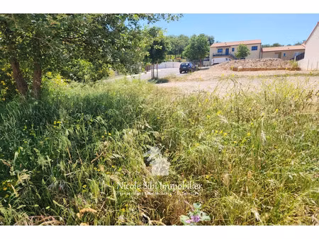 vente terrain 361 m² à corbère-les-cabanes (66130)  89 000 €