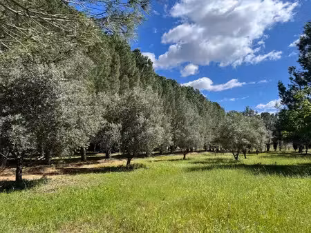 vente terrain 413 m² à lézignan-la-cèbe (34120)  108 500 €
