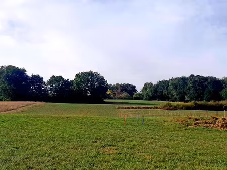 vente terrain 350 m² à verfeil (31590)  105 000 €