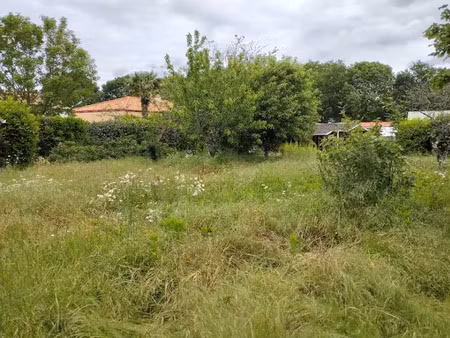 vente terrain 567 m² à sainte-pazanne (44680)  111 990 €