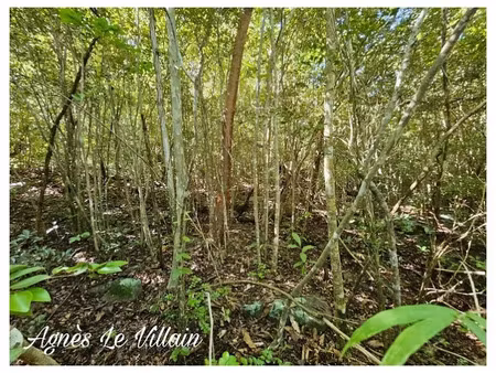 vente terrain 2382 m² à bouillante (97125)  162 000 €