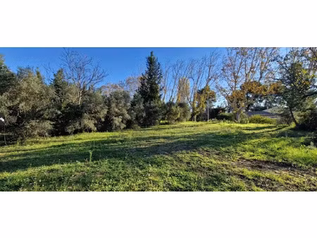 vente terrain 299 m² à maussane-les-alpilles (13520)  170 000 €