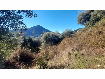 vente terrain 5320 m² à vico (20160)  170 000 €
