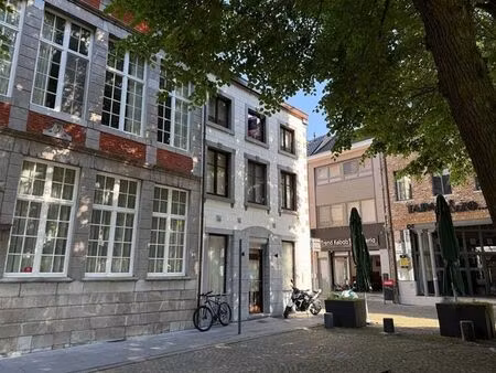 appartement à louer à maaseik € 925 (lovdm) - suzanne louw vastgoed | zimmo