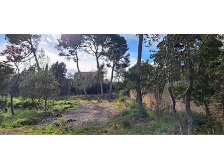 vente terrain 900 m² à cournonsec (34660)  299 000 €