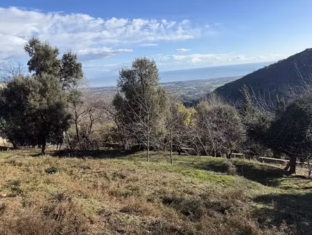 vente terrain à batir 3000 m² à penta-di-casinca (20213)  296 000 €