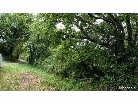vend 1 27 ha de bois à persac