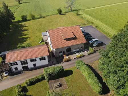 vente locaux professionnels 588 m² à plombières-les-bains (88370)  679 000 €