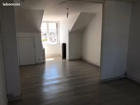 appartement 1 pièce type loft