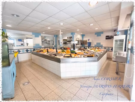 vente locaux professionnels 3 pièces 70 m² à sully-sur-loire (45600)  99 500 €