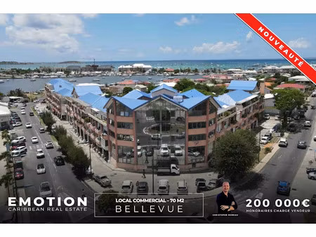 vente locaux professionnels 0 pièces 70 m² à saint-martin (97150)  208 000 €