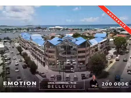 vente locaux professionnels 0 pièces 70 m² à saint-martin (97150)  220 000 €