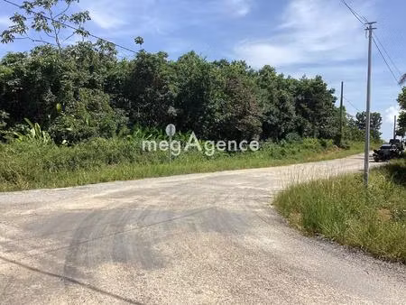 terrain constructible 10 000m2 commune de macouria.