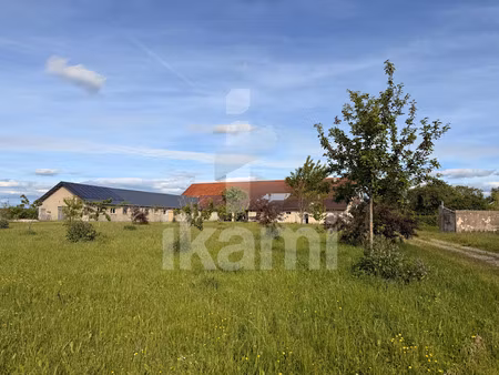 vente locaux professionnels 0 pièces 2312 m² à marigny (39130)  490 000 €