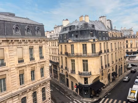 charmant appartement parisien à paris 1er !
