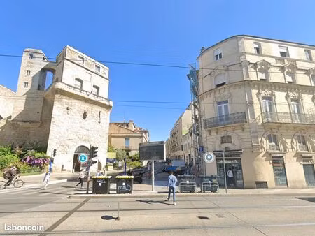 studio 1 pièce 31 m²