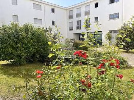 vente appartement 2 pièces à sarzeau golfe-nord (56370) : à vendre 2 pièces / 36m² sarzeau