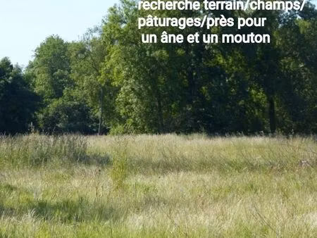 recherche terrain   près pour âne et mouton