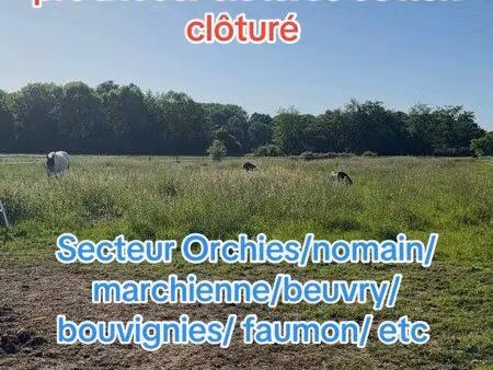terrain / pature