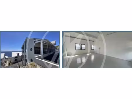 location locaux professionnels 44 m² à vieux fort (97141)  922 €