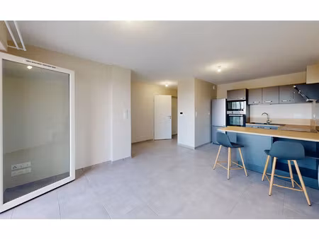 location appartement  43.75 m² t-2 à flavin  650 €
