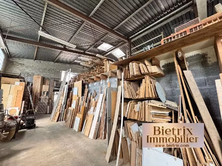 vente commerce 8 pièces 500 m² l’isle-adam (95290)