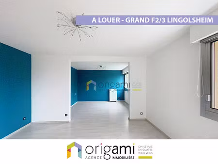 appartement 2/3 pièce(s) lingolsheim