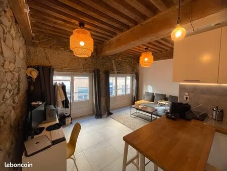 studio 22m² lyon plateau croix-rousse