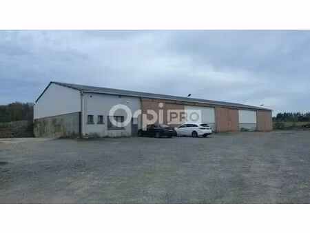 vente entrepôt sougy sur loire 58300 846m² à 856m²