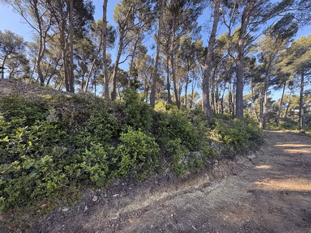 vente terrain 6400 m² ollioules (83190)
