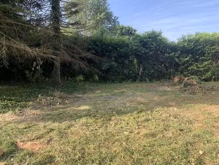 vente terrain à la turballe (44420) : à vendre / la turballe