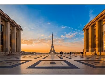 location commerce paris 75116 585m²