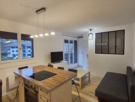 courte ou moyenne durée jusqu'au 11 mois maximum charmant appartement meublé de 36 m² à ge