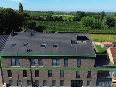 appartement à vendre à borgloon € 435.000 (lovts) - het immohuis | zimmo