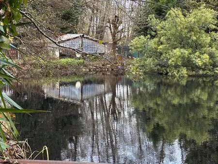vente terrain à sainte-foy (85150) : à vendre / 4142m² sainte-foy