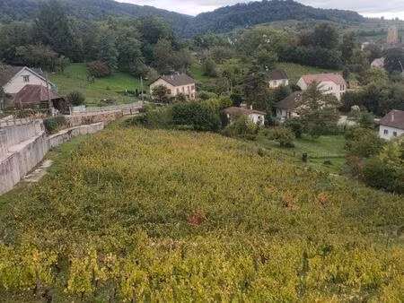 rare terrain constructible de 1 514 m² au cœur d'arbois (jura)