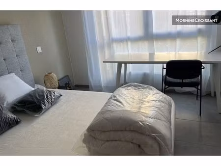t1 montpellier