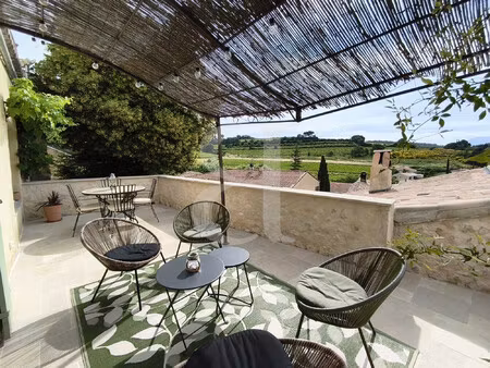 achat maison 5 pièces 236m² visan 84820