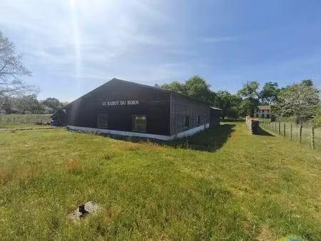 vente local d’activités saint paul en born 40200 271m²