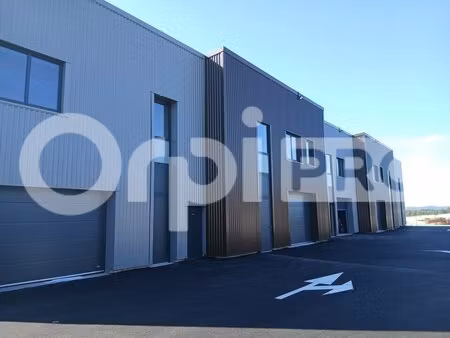 vente local d’activités vailhauques 34570 164m²