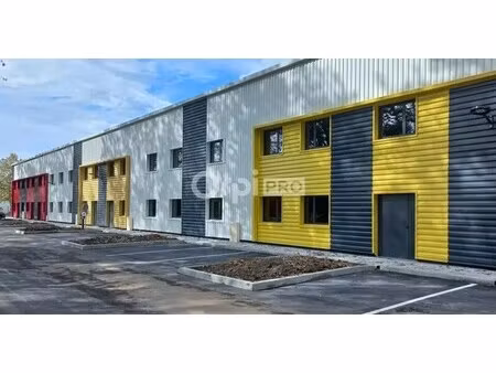 vente local d’activités pau 64000 291m²