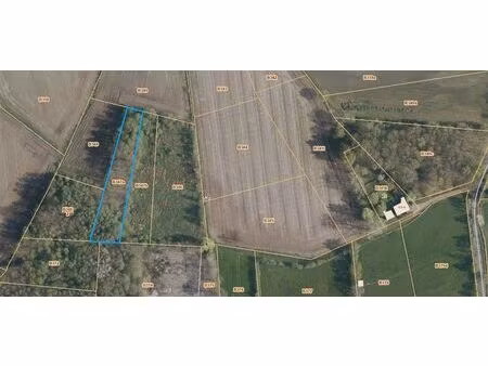 terrain agricole à vendre à tessenderloseweg veerle (rbw10774)