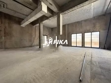 vente commerce bordeaux 33100 271m²