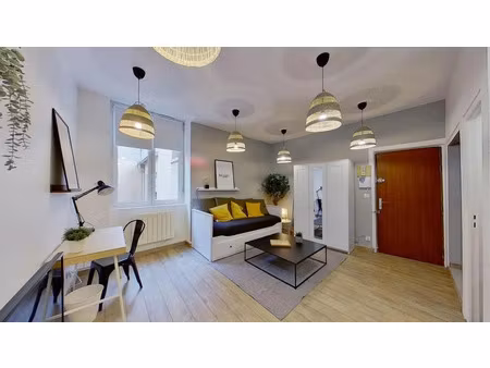 location appartement 1 pièce 27 m² à lyon 3 (69003)