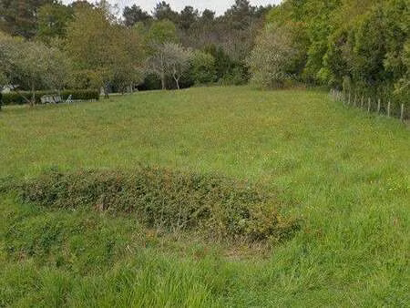 vente terrain à saint-perreux (56350) : à vendre / 1080m² saint-perreux