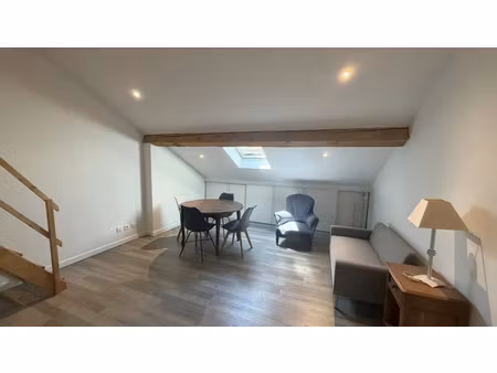 location appartement 1 pièce 18 m² à lyon 7 (69007)