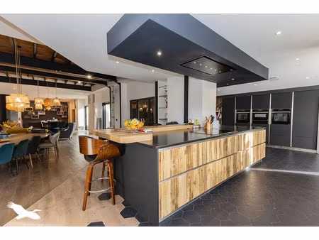 vente maison 9 pièces 393.26 m² à trebons (65200)  690 000 €