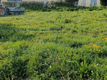 vente terrain à saint-jean-d'elle (50810) : à vendre / 465m² saint-jean-d'elle