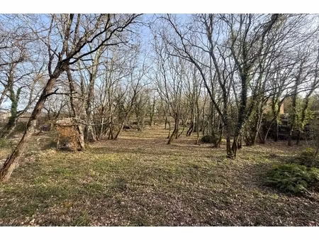 annonce terrain à vendre